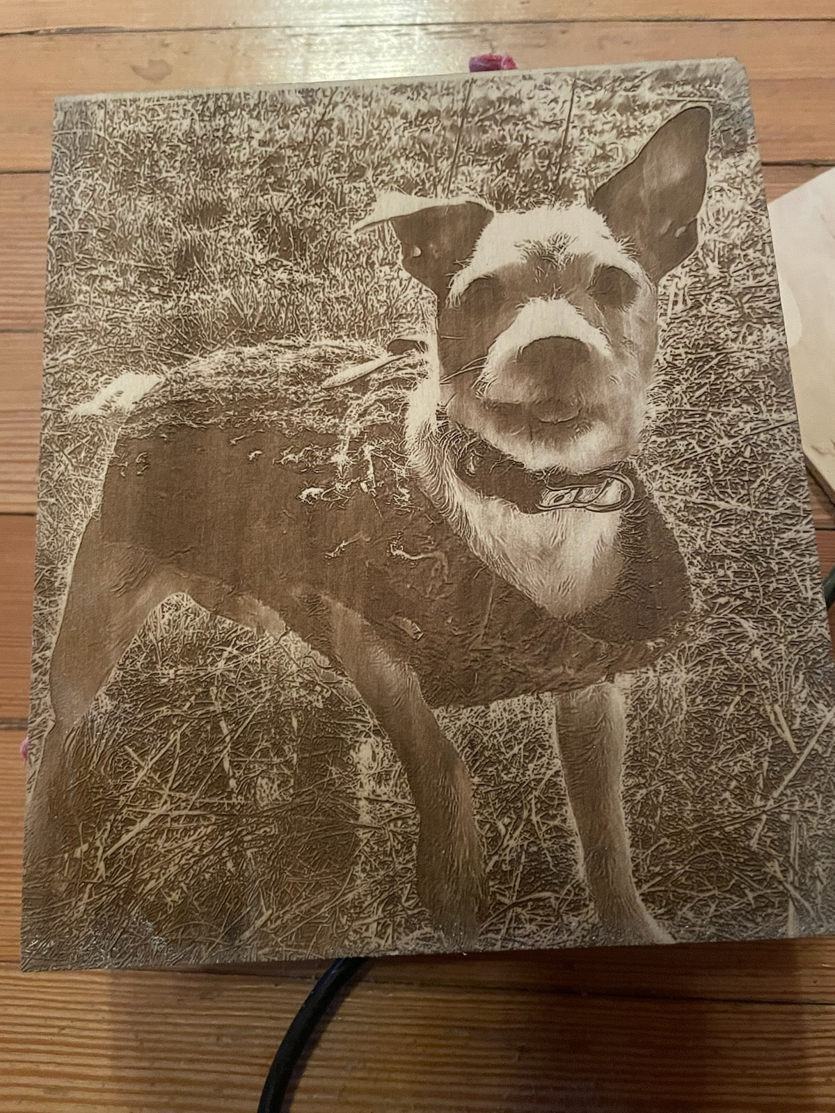 Custom 12x12 Wood Burning Art – Personalized Pet Portrait